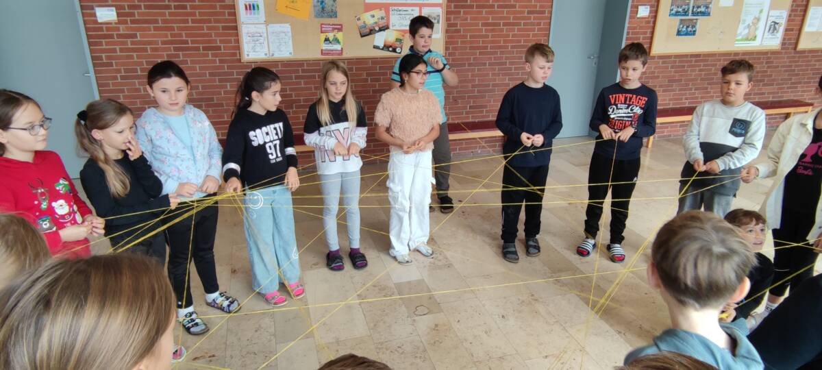 Bild